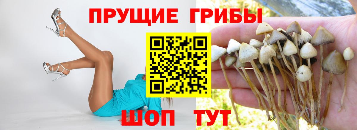 Галлюциногенные грибы Psilocybe  Вход с VPN  Янаул  Галлюциногенные грибы Cubensis 